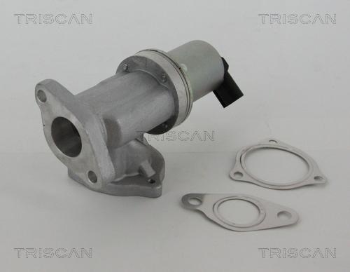 Triscan 8813 43002 - Клапан повернення ОГ autozip.com.ua