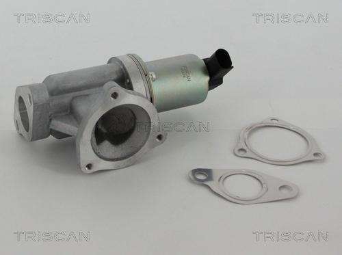 Triscan 8813 43002 - Клапан EGR Hyundai Santa FE 2.2 CRDI 06-12-KIA Sportage 2.0 CRDI 06- autozip.com.ua