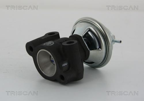 Triscan 8813 43014 - Клапан повернення ОГ autozip.com.ua
