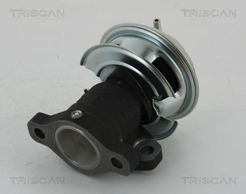 Triscan 8813 43201 - Клапан повернення ОГ autozip.com.ua