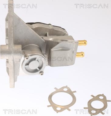 Triscan 8813 42002 - Клапан повернення ОГ autozip.com.ua