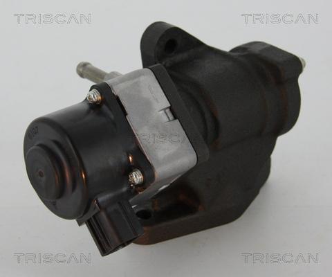 Triscan 8813 14005 - Клапан повернення ОГ autozip.com.ua