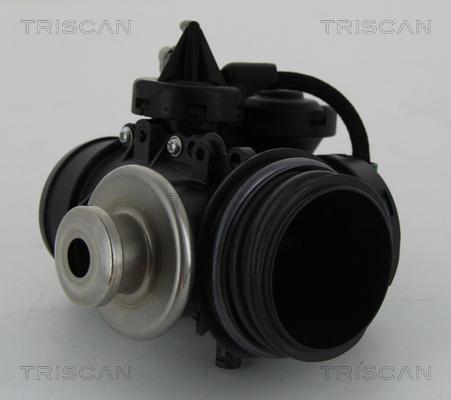 Triscan 8813 15056 - Клапан повернення ОГ autozip.com.ua