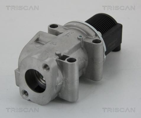 Triscan 8813 15032 - Клапан повернення ОГ autozip.com.ua