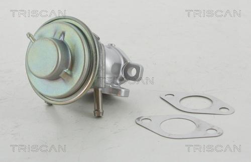 Triscan 8813 15029 - Клапан повернення ОГ autozip.com.ua
