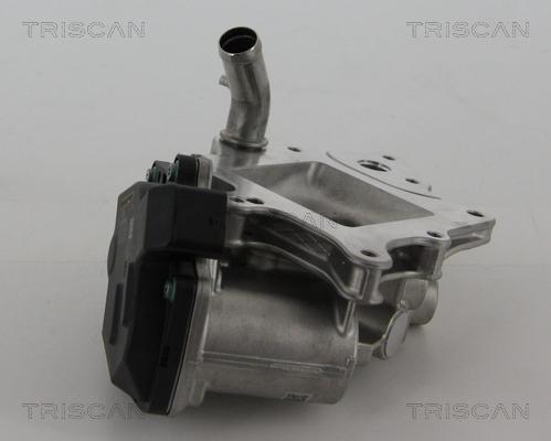 Triscan 8813 15205 - Клапан повернення ОГ autozip.com.ua