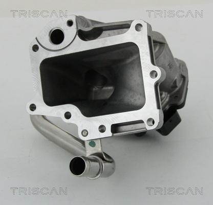 Triscan 8813 15206 - Клапан повернення ОГ autozip.com.ua