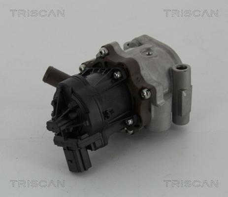 Triscan 8813 15208 - Клапан повернення ОГ autozip.com.ua