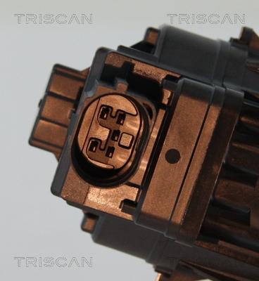 Triscan 8813 15208 - Клапан повернення ОГ autozip.com.ua