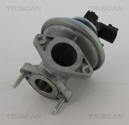 Triscan 8813 16045 - Клапан повернення ОГ autozip.com.ua