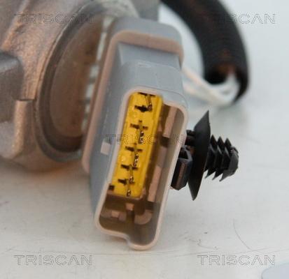 Triscan 8813 16008 - Клапан повернення ОГ autozip.com.ua