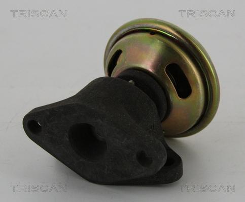 Triscan 8813 16026 - Клапан повернення ОГ autozip.com.ua