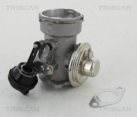 Triscan 8813 16023 - Клапан повернення ОГ autozip.com.ua