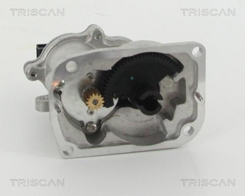 Triscan 8813 16151 - Клапан повернення ОГ autozip.com.ua