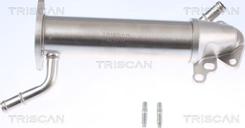 Triscan 8813 16110 - Радіатор, рециркуляція ОГ autozip.com.ua