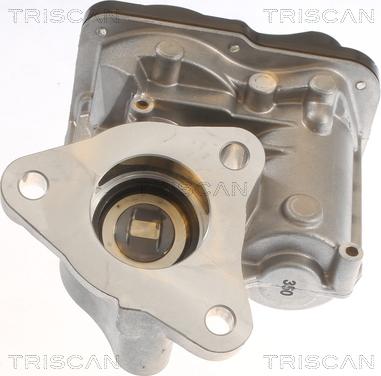 Triscan 8813 10055 - Клапан повернення ОГ autozip.com.ua