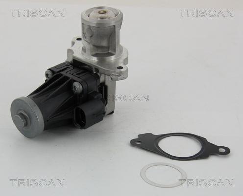 Triscan 8813 10004 - Клапан повернення ОГ autozip.com.ua