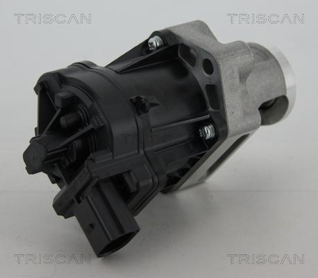 Triscan 8813 10006 - Клапан повернення ОГ autozip.com.ua