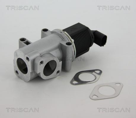 Triscan 8813 10015 - Клапан повернення ОГ autozip.com.ua
