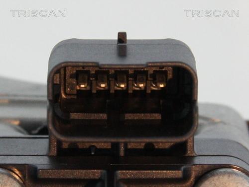 Triscan 8813 10016 - Клапан повернення ОГ autozip.com.ua