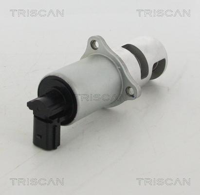 Triscan 8813 10100 - Клапан повернення ОГ autozip.com.ua