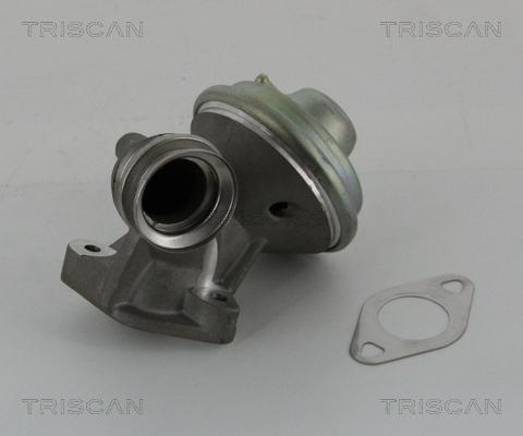 Triscan 8813 10102 - Клапан повернення ОГ autozip.com.ua