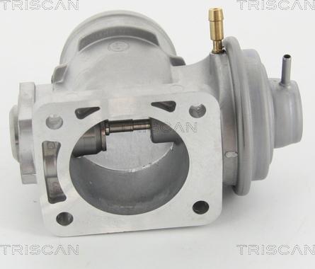 Triscan 8813 10210 - Клапан повернення ОГ autozip.com.ua