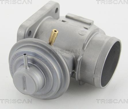Triscan 8813 10210 - Клапан повернення ОГ autozip.com.ua