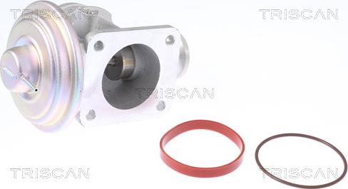 Triscan 8813 11004 - Клапан EGR BMW 3E46-5E39-7E38 1.8d-2.0d-3.0d autozip.com.ua