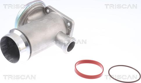 Triscan 8813 11005 - Клапан повернення ОГ autozip.com.ua