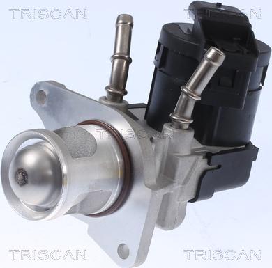 Triscan 8813 11001 - Клапан EGR BMW 1 E81-F20. 3 E90-F30. 5 F10. 5 E60. 3 F25. X5 E70 2.0d-3.0d 10.07- autozip.com.ua