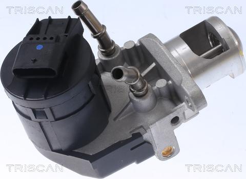 Triscan 8813 11001 - Клапан EGR BMW 1 E81-F20. 3 E90-F30. 5 F10. 5 E60. 3 F25. X5 E70 2.0d-3.0d 10.07- autozip.com.ua