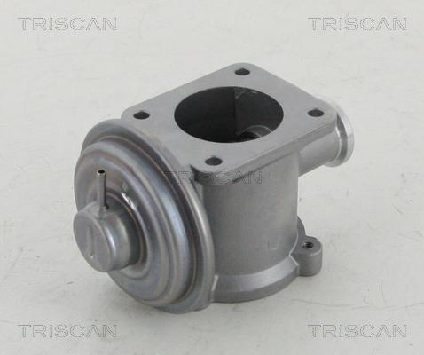 Triscan 8813 11003 - Клапан рециркуляції відпрацьованих газів BMW 1-3-5-7 2.0-3.0D 03-12 autozip.com.ua