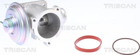 Triscan 8813 11003 - Клапан повернення ОГ autozip.com.ua