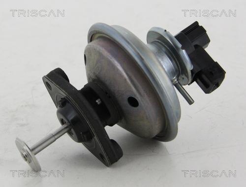 Triscan 8813 11002 - Клапан повернення ОГ autozip.com.ua