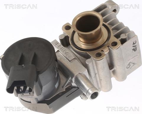 Triscan 8813 11011 - Клапан повернення ОГ autozip.com.ua