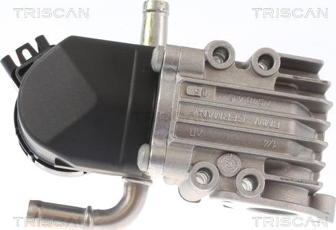 Triscan 8813 11011 - Клапан повернення ОГ autozip.com.ua