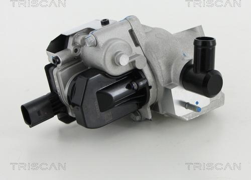Triscan 8813 18046 - Клапан повернення ОГ autozip.com.ua