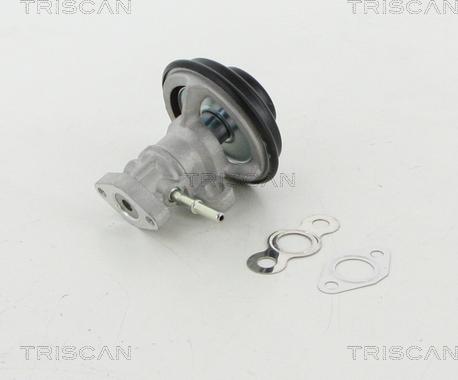 Triscan 8813 13030 - Клапан повернення ОГ autozip.com.ua