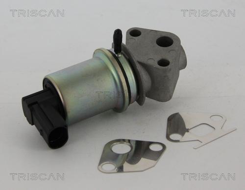 Triscan 8813 29044 - Клапан повернення ОГ autozip.com.ua