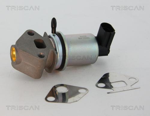 Triscan 8813 29045 - Клапан повернення ОГ autozip.com.ua