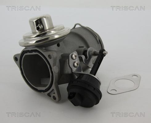 Triscan 8813 29040 - Клапан повернення ОГ autozip.com.ua