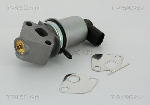 Triscan 8813 29004 - Клапан EGR Skoda Fabia 1.4 16V 99--VW Bora 1.4 00- autozip.com.ua