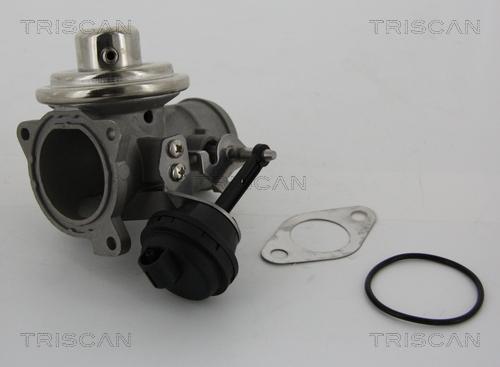 Triscan 8813 29001 - Клапан EGR Audi A3. VW Golf IV. 96-06 autozip.com.ua