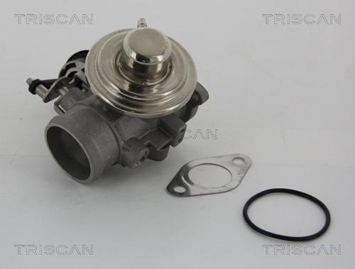 Triscan 8813 29001 - Клапан EGR Audi A3. VW Golf IV. 96-06 autozip.com.ua