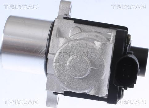 Triscan 8813 29015 - Клапан повернення ОГ autozip.com.ua