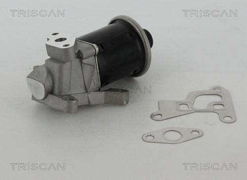 Triscan 8813 29100 - Клапан повернення ОГ autozip.com.ua