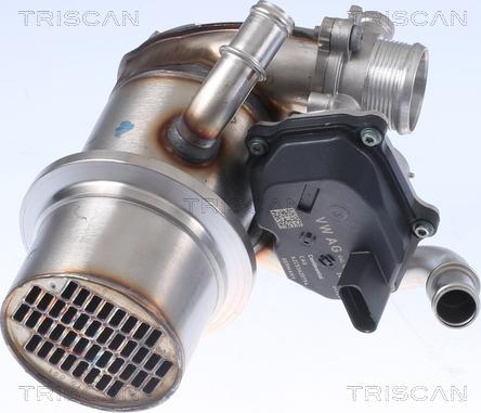 Triscan 8813 29345 - Клапан повернення ОГ autozip.com.ua