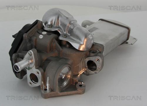 Triscan 8813 29304 - Клапан повернення ОГ autozip.com.ua
