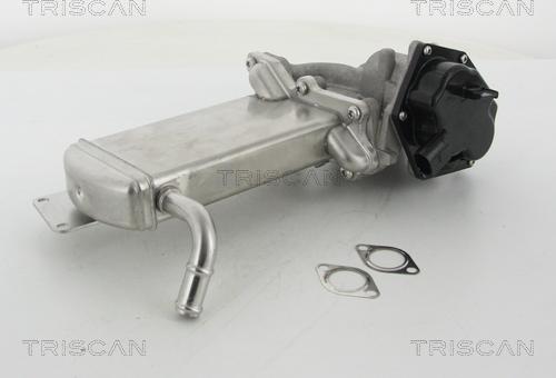 Triscan 8813 29305 - Клапан повернення ОГ autozip.com.ua